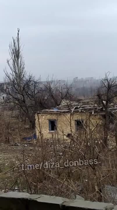 ������ ���������: ��������, �������� �������