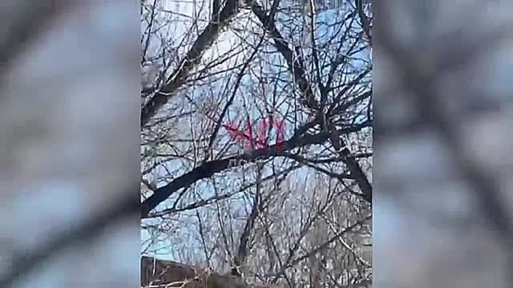 ��� ������� �������� ��� ���� �������, ������� � ����� Telegram-������ ��� ����� ���������