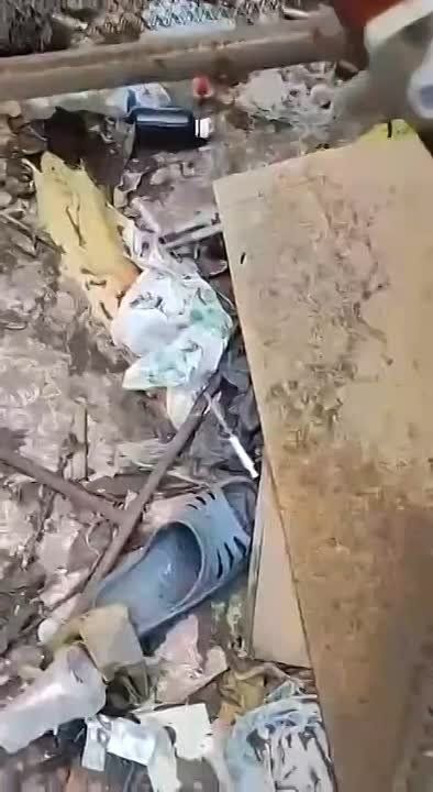 �������� �����: �������� - ����� ���������� � ��������!
