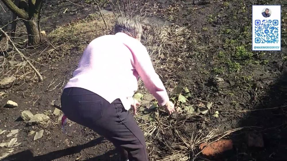 ������ ���������: ����� 1/2. ������������� ������������ �������� �� ������������� ���������� ����������� � �� ���������� ���������� ����� �������������