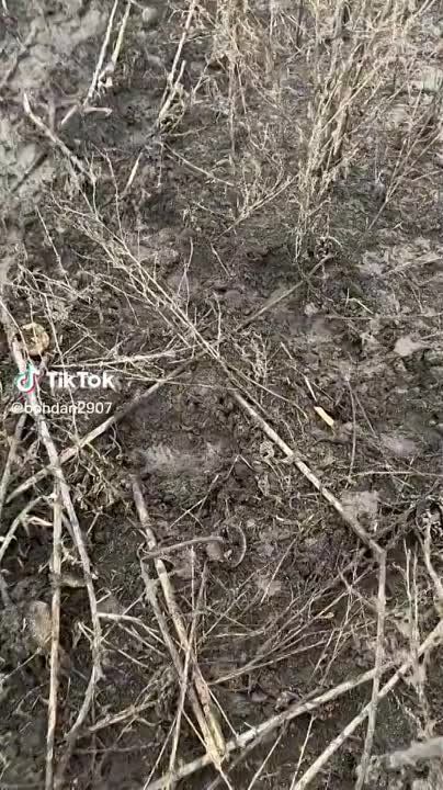 ������ �������: ����� ����������� ��������� �� �������� �� ����������� �����������