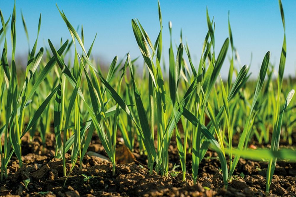 ����������� ������������ ������������� - ������� ���������������� �������� � �������������� ����� ���������� ������ ������� � ��������� ������������ ����� ����������� ������