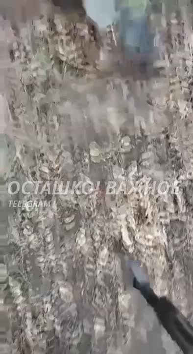 ������ ����������� �������� ����� �������� ��� ����������� (������)