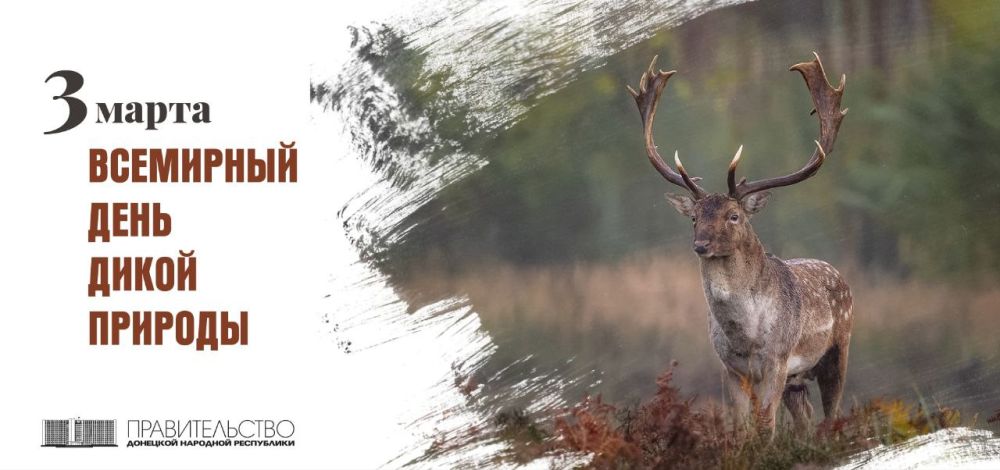 �������� ������: 3 ����� ���������� ��������� ���� ����� �������, �� ������ �������� 50 ��� ����� ��������� � ������������� �������� ������ ����� ����� � �����