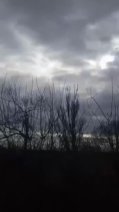 ������ ����������: ������ �������� �� ����� ��������������� � ������ �������