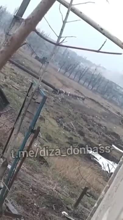 ������ ���������: ������������� ���� � ��������