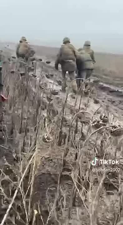 ����� ���������: ����� ����������� ��������� �� �������� �� ����������� �����������