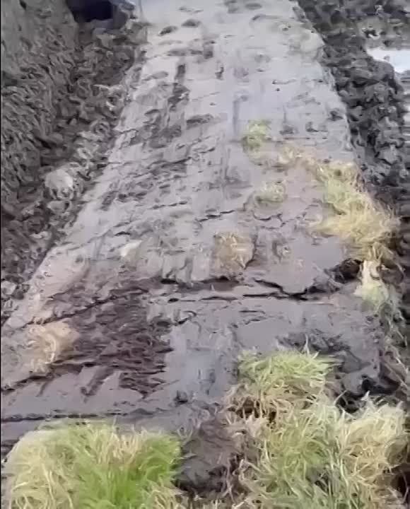 ����� ����� �� ������ - ������ �������� ��������