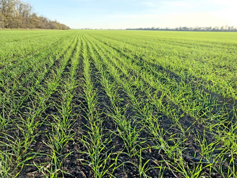 �������, 3 �����, ���������� ��������� ������������ ����� ����������� ������ �� ����������� ����������� ���������������� ����������������� ��������� ���������� ���������