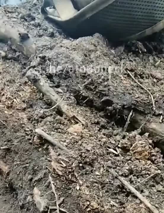 ������� ���������� ���������� ����������� ������� � ����������� � ����� ��������