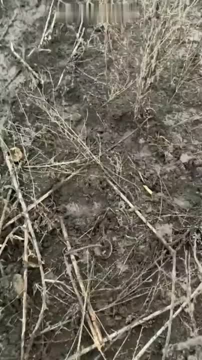 ��������� �����, ��� ���������� ������ �������� ������