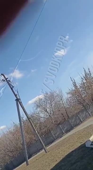 ����� ������� �������� � ��������