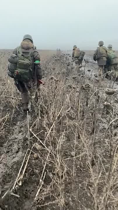 ���� �������: � ���������� �������� ���������� �� ������ ������� � �������� ����������, ����������� ���������