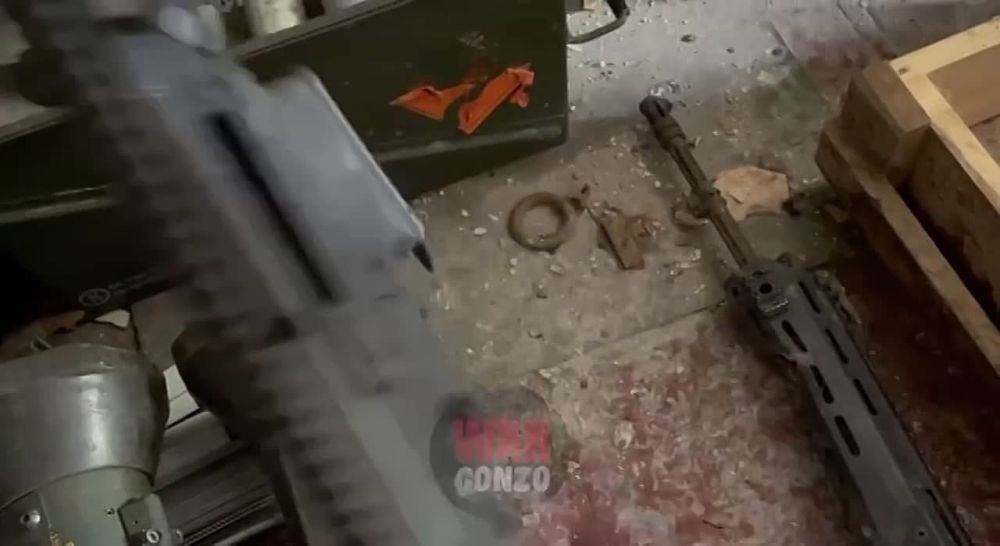 WarGonzo: �������� �������� ����������� ���� �������