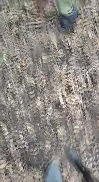 ��������� ����� ��� ������