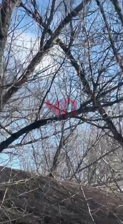 � �������� � ��� ���� ������� ������, ������ ������������������