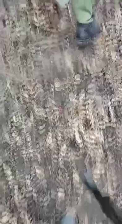 ���������� ����� ������ ������� ��� � ������ ���������
