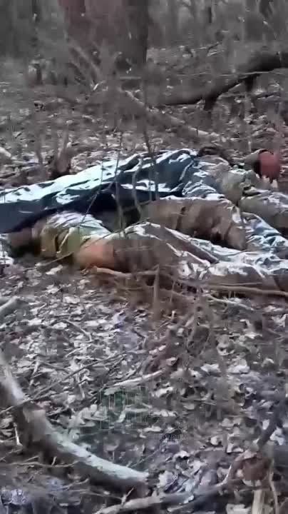 ����� ������ ��������� ��������� ������� ��� �� ���������� �����������