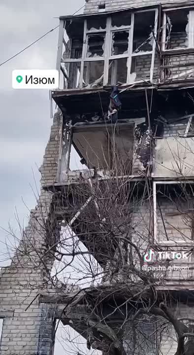 ����. ����� �� ����������