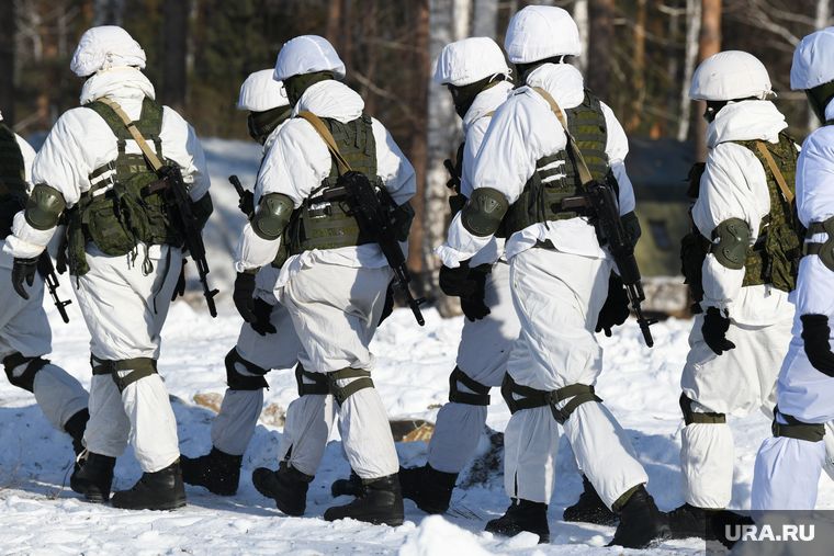 Полковник Литовкин раскрыл главную цель России в Донбассе