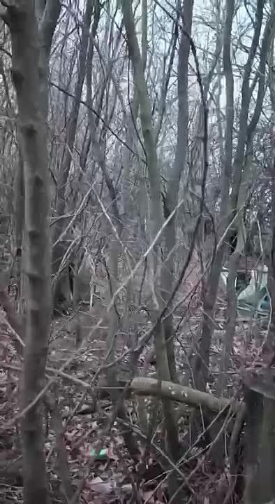 �������������� ���������� ����� � ������� ����� �������� ���� ����, ����������� �� ���������� �� ������ � ���