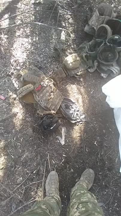 ������ �������: ���������� ������������ ��� ����������� ���������� ��������������