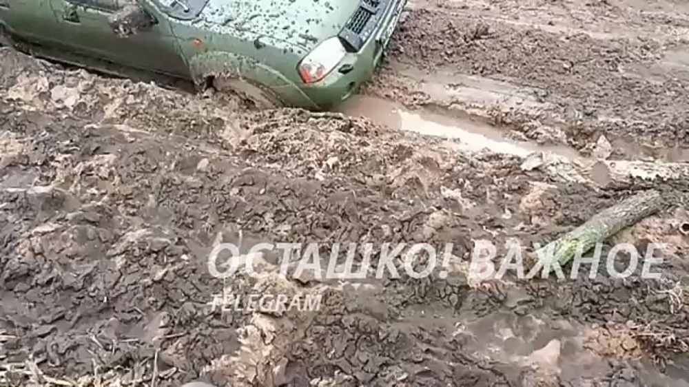 � �������� �������� �������� ���������