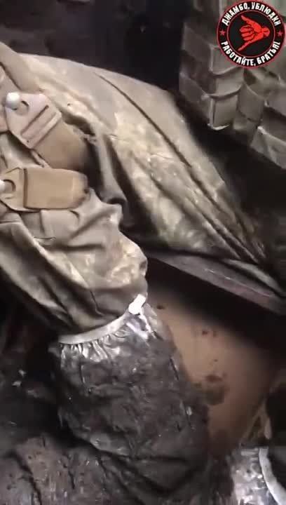 � ����� ������������ ��������� �������������� ����� ���, ��� ����������� ������ "�������� ���������������� �������"