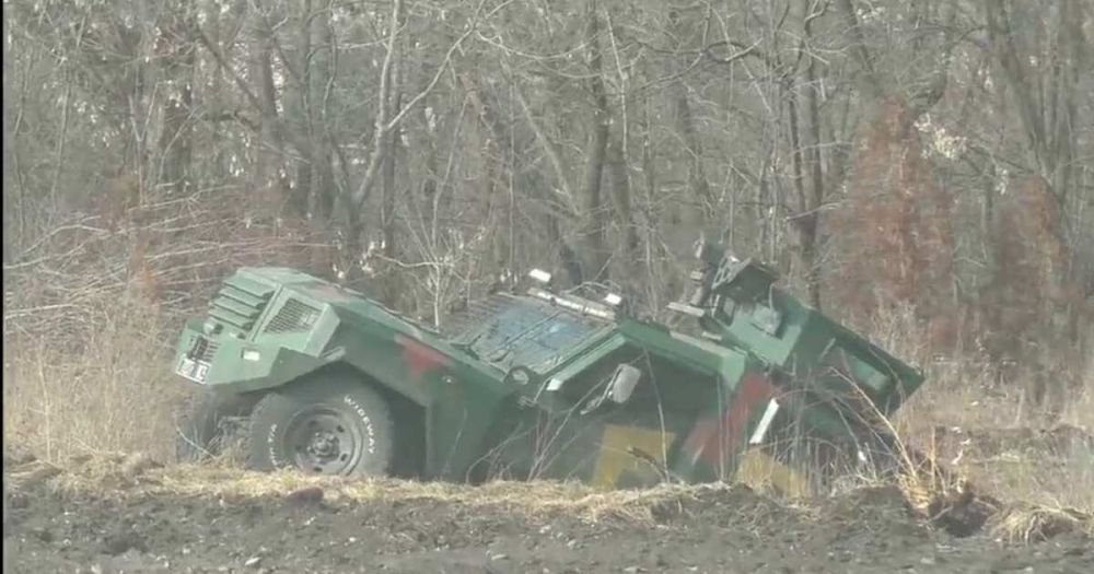 "������� �����": ������������ ��� ����������� ��� ��������� "�������"