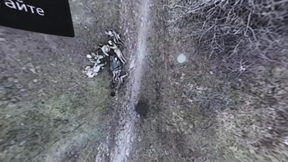 ������ ������� ��� 6-� �������� ������� �� ������� ������� ��� � ������ �.� ������� �� ��������� �����������