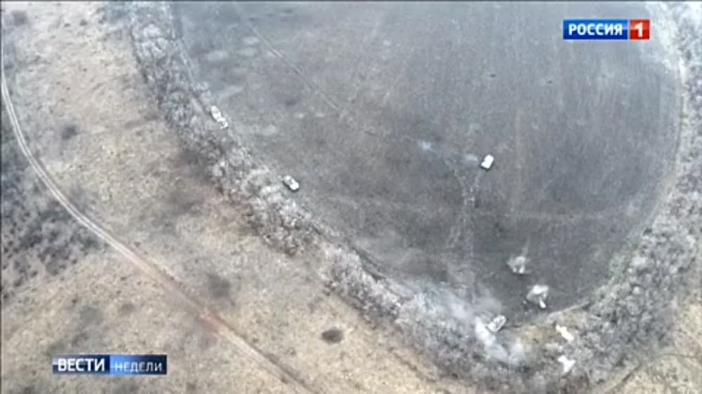 ����� �����: ���� ������� ��������� ���������� ������� �� ������� ( ���������)