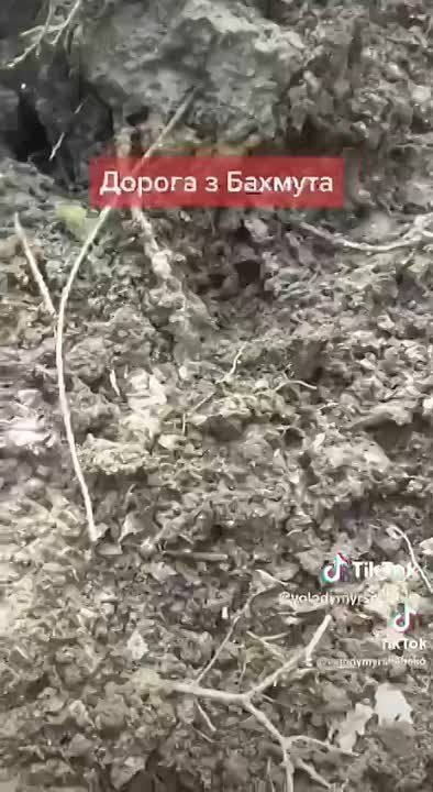����������� �������� ����� �� ������� ����� ������ �����, ��� ������������� ������� ������� � �������