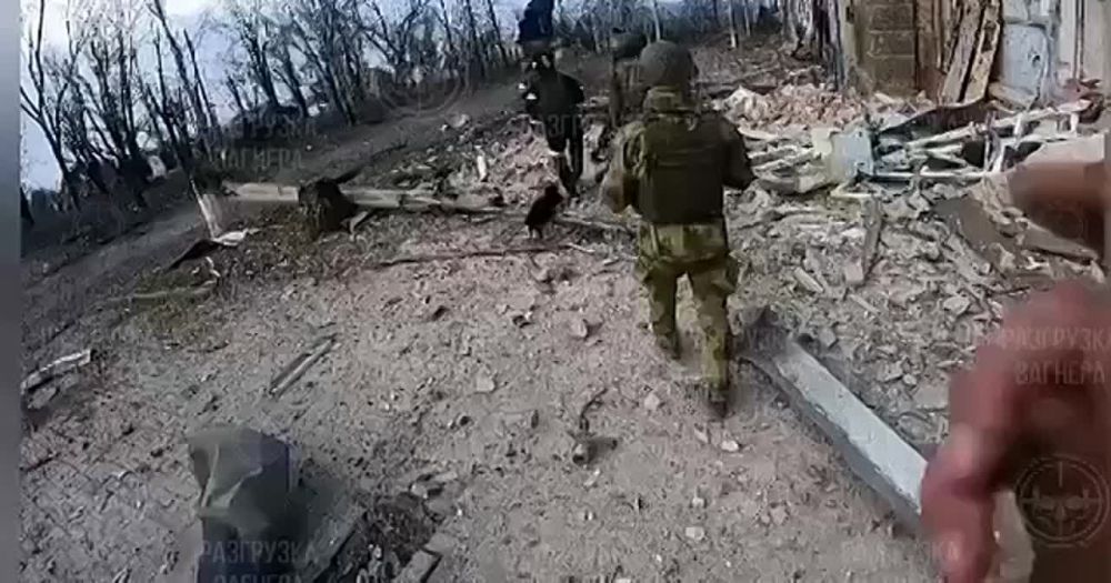 ���������� ��� "������" ����� �� ��������� � ������ � ����������