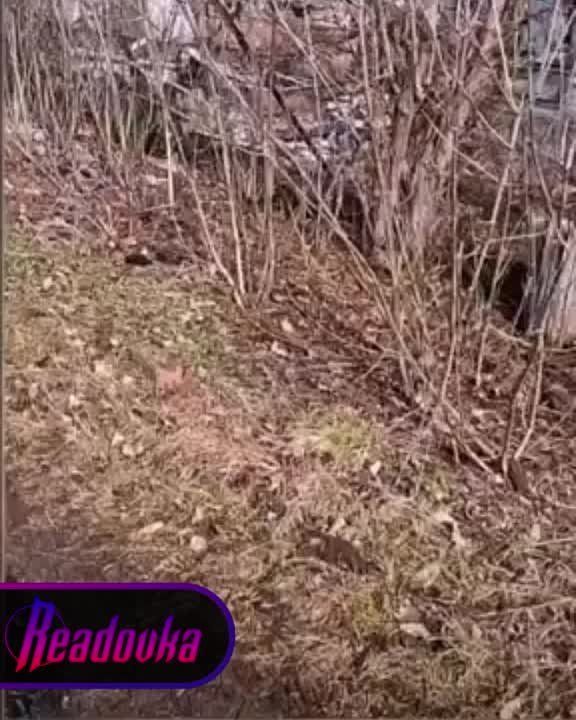 ������� ������� ����������� ������ ���������� ������� �� ����������� � ��������