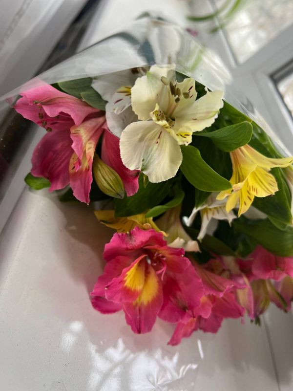 � ������ � ��������. �������, 7 �����, �������� ������������ ������������ ��������� ������������� �������� "��������...