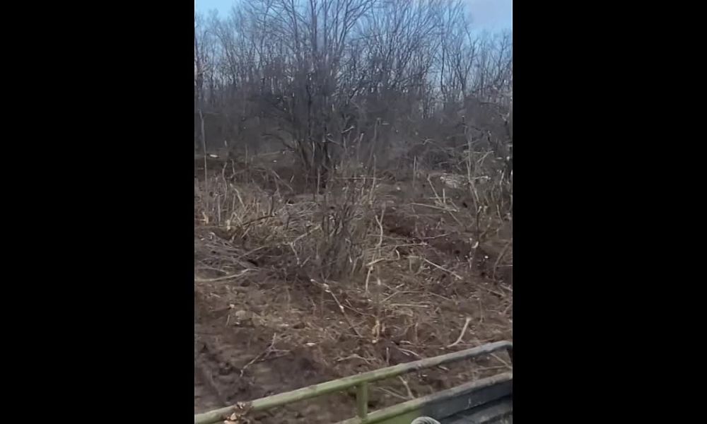���������� ������������ �������� �������������� �� ��������� ������� �� ���������� � ����� �� � ��������������