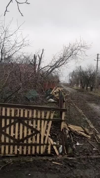 ������ �������: ���������� �� ����� ������������� ������������ � ���������� (�������)