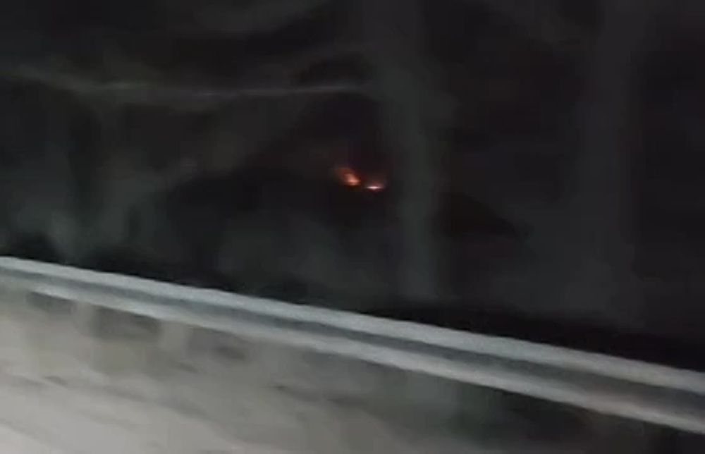�������������� �����. ��� ������ ���