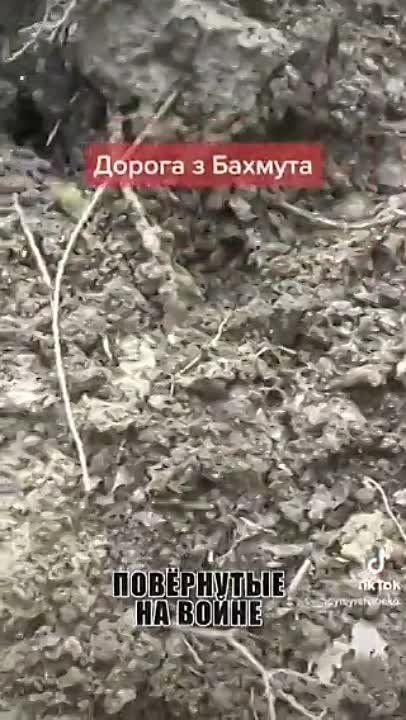 ���� �� �������: ������ �� ������. ��������� � ��� ��� ������ ���
