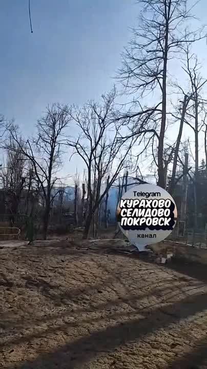 ����� �� ��������, �� ������� �� ������ ������ ������������ ������������ ���