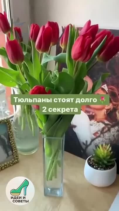 ������� �������, ������� ���������� ��� ���