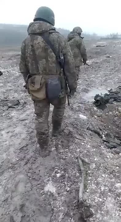 ������ �������: ����������� ��������� �� ����������