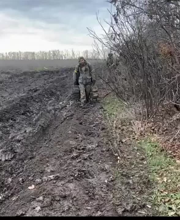 �� ����? � ��� �� "������� ������"?