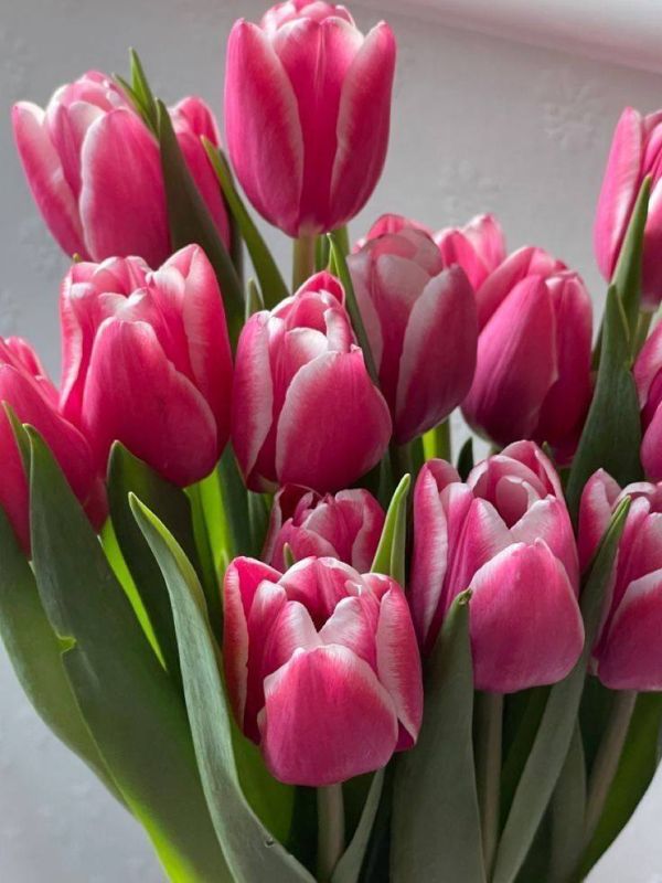 ����� ����������: ����� �������! ������� ����� ��������� ������������ � �������� �������� ���������� � ������������� ������� ����!