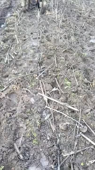 ������ �������: ����� ������ ��������� �� ����������