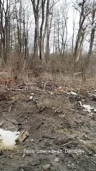 ������ �������: ��� ���� ������������ � ������ ���������� (�������) ������� ������������ ���������� �����