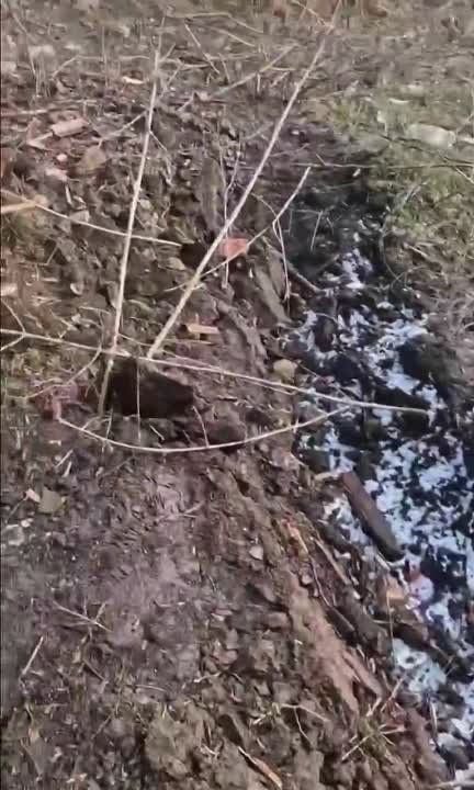 ����� �����: �������������� �������� ����� � ��������
