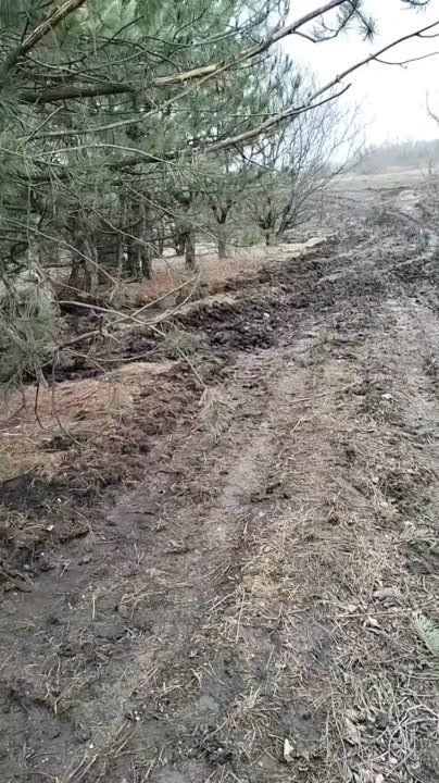 ������ ��������� �������� ��� �����������