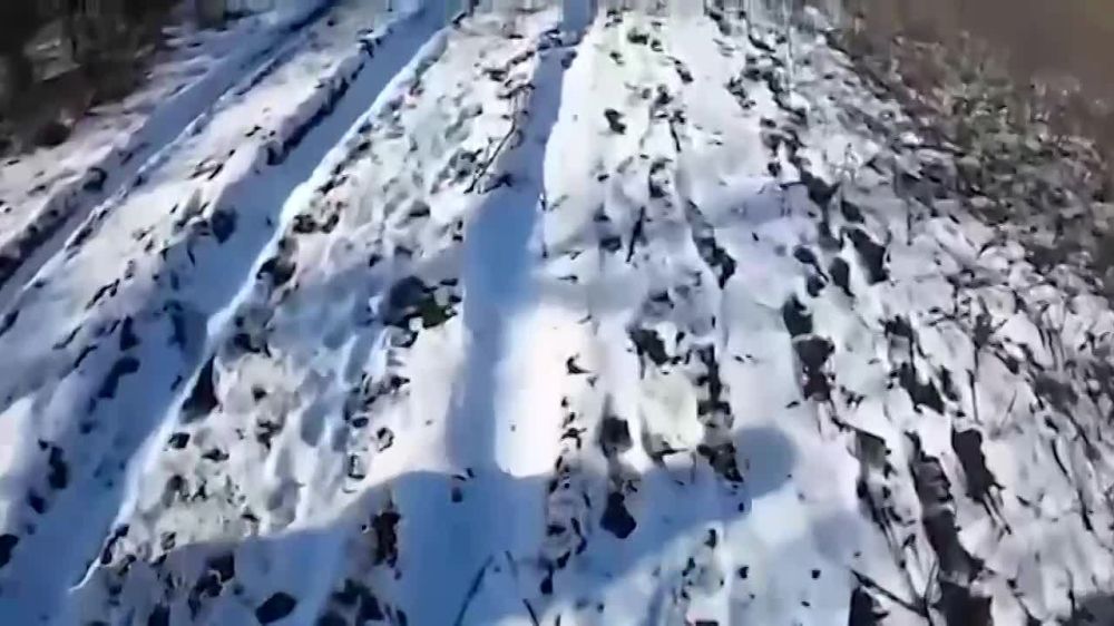������� �������� � ������� ��������� ����� ��������� �� "���������" � ������������� � ��� � �������� ����� ���������� ������ ����� �����