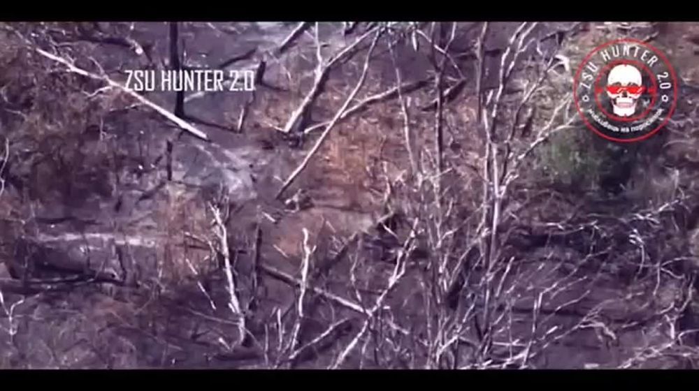 ����� ��������. ����� ZSU Hunter 2.0 ������� ��������� ����� ���� (������������� 5 ���������) ���������� � ������